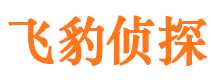 崇川外遇调查取证